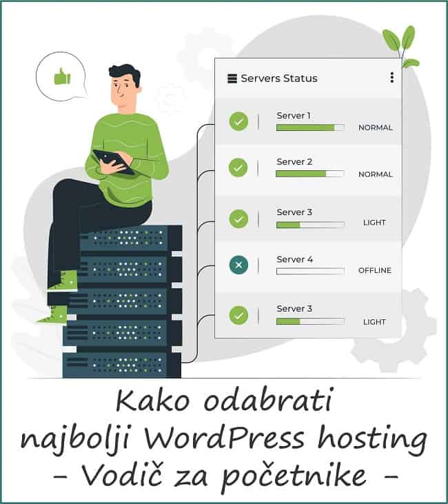 Kako Odabrati Najbolji Wordpress Hosting Vodič Za Početnike Marina Nikolić Internet Marketing Blog