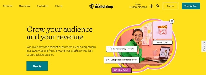 mailchimp-email-marketing-servis mailchimp-email-marketing-servis